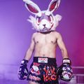 Pánske tréningové šortky YOKKAO Angry Rabbit Muay Thai black 6
