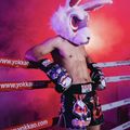 Pánske tréningové šortky YOKKAO Angry Rabbit Muay Thai black 7