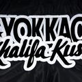 Pánske tréningové šortky YOKKAO Khalifa Kush Muay Thai black 4