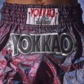 Pánske tréningové šortky YOKKAO Lunar Muay Thai iridescent blue grey 13