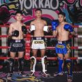 Pánske tréningové šortky YOKKAO Original Muay Thai electric blue 9