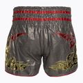 Tréningové šortky Top King Kickboxing šedé 2