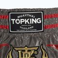 Tréningové šortky Top King Kickboxing šedé 3