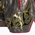 Tréningové šortky Top King Kickboxing šedé 5