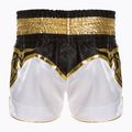 Tréningové šortky Top King Kickboxing multicolor 2