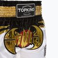 Tréningové šortky Top King Kickboxing multicolor 3