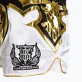 Tréningové šortky Top King Kickboxing multicolor 4