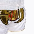 Tréningové šortky Top King Kickboxing multicolor 5