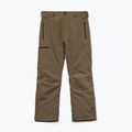 Pánske snowboardové nohavice Volcom L Gore-Tex Pant Teak 9