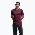 Pánske tričko Atomic Alps maroon