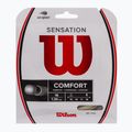 Tenisová struna Wilson Sensation 16 12,2 m biela WRZ941000+