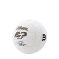 Lopta Wilson Castaway Mini white 3