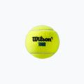 Wilson Tour Premier All Ct tenisové loptičky 3 ks žlté WRT109400 3