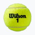 Wilson Roland Garros All Ct tenisové loptičky 3 ks žlté WRT126400 2