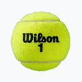 Tenisové loptičky Wilson Roland Garros All CT 4 ks. žlté 5