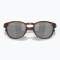 Slnečné okuliare Oakley Latch matte brown tortoise 5