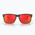 Slnečné okuliare Oakley Holbrook matte black/prizm ruby 2