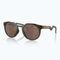 Oakley Hstn olive ink/prizm tungsten polarizované slnečné okuliare 5