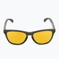 Slnečné okuliare Oakley Frogskins Range dark brush/prizm 24k polarized 3