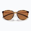Slnečné okuliare Oakley Sielo leštená hnedá korytnačka/prízemný bronz 6