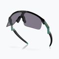 Detské slnečné okuliare Oakley Resistor black/prizm grey 4