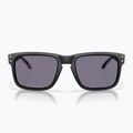 Slnečné okuliare Oakley Holbrook Fathom Collection matte black/prizm grey 2
