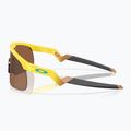Detské slnečné okuliare Oakley Resistor yellow/prizm tungsten 5