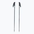 Lyžiarske palice Fischer Lite asphalt grey