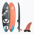 Fanatic Skate TE windsurfingová doska čierna 13220-1008