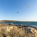 DUOTONE Evo SLS 2022 modrý 44220-3013 kite kitesurfing kite 7