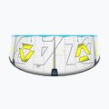 Kite na kitesurfing Duotone Evo D/LAB grey/lime 6