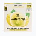 Rehydratačný nápoj Waterdrop Microdrink Ice Tea 12 kociek citrón