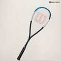 Squashová raketa Wilson Ultra CV modrá/strieborná 15