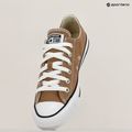 Tenisky Converse Chuck Taylor All Star Classic Ox hot tea 9