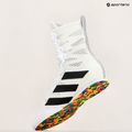 boxerská obuv adidas Box Hog 4 cloud white/core black/cloud white 10