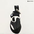 Lezecká obuv Evolv Zenist grey/black 6