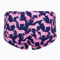 Pánske plavecké boxerky Funky Trunks Classic Trunks sweet stripes 2