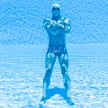Pánske plavecké boxerky Funky Trunks Classic Trunks curl curl 11