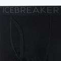 Pánske termo nohavice Icebreaker 200 Oasis W/Fly black IB1043700011 9
