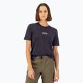 Dámske tričko Mons Royale Icon Relaxed Tee cosmic