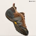 Pánske turistické topánky Merrell Intercept moth brown 16