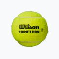 Wilson Triniti Pro Tball tenisové loptičky 4 ks žlté WR8204801001 2