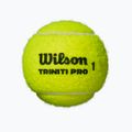Tenisové loptičky Wilson Triniti Pro 3 ks yellow 2