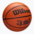 Basketbalová lopta detská Wilson NBA JR Drv Fam Logo brown veľkosť 4 2