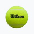 Loptičky na padel Wilson Premier Padel Balls 3 ks yellow 5
