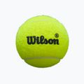 Loptičky na padel Wilson Premier Padel Speed 3B 3 ks. yellow 2