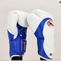 Boxerské rukavice Twins Special BGVL6 white/blue 6