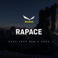 Salewa pánske vysokohorské topánky Rapace GTX navy blue 00-0000061332 12
