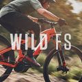 Orbea Wild FS H10 strieborný elektrický bicykel M34718WB 14