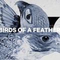 Dámsky snowboard CAPiTA Birds Of A Feather 1221107 12